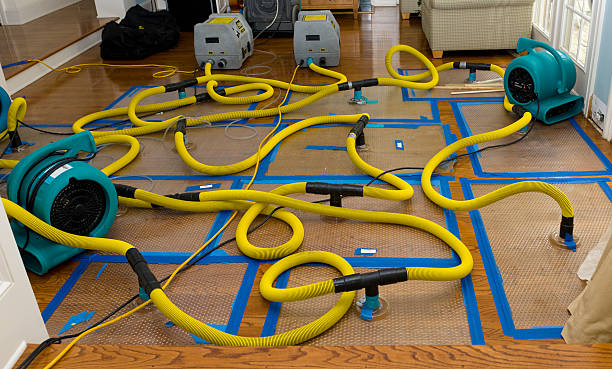 Professional Water Damage Repair technician working in Sarver, PA
